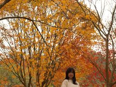 -田野绿世界