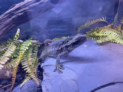 -Zoolung Zoolung动物主题公园(海信广场店)