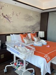 -巍阁月子中心(国贸店)