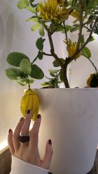 -董小姐日式美甲美睫·皮肤管理
