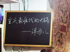 -洋马儿火锅(解放碑店)