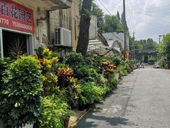 -金陵花卉交易市场