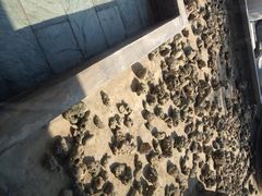iphone_upload_pic-北岸海景酒店