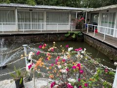 -芭厘农庄老字号·清远鸡
