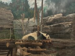 -鄂尔多斯野生动物园