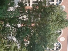 -长沙市青少年宫