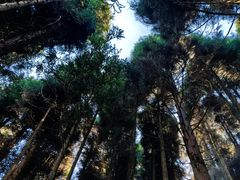 -山王坪喀斯特国家生态公园