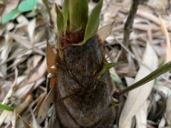 -竹上云想餐厅民宿