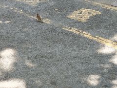 -山东省青岛第二中学(江西路分校)
