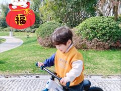 -八爪矩阵极限运动馆·儿童平衡车·感统训练(南海子公园校区)