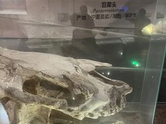 -武汉园博园(武汉自然博物馆)