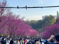 -阿哈湖国家湿地公园