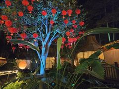 -二荆条·蜀鲜汇城市森林火锅