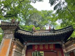 -天台山琼台仙谷景区