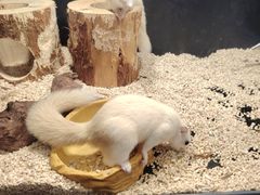 -太平洋海底世界