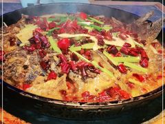 -老板恋上鱼(恒隆广场店)