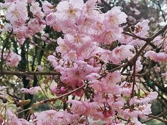 -南山植物园