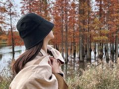 -白鹭湾湿地公园