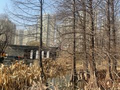 -白塘生态植物园