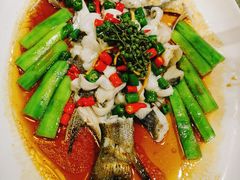 -猪肉婆私房菜(容桂总店)