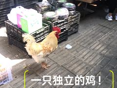 -桃源市场(解放路店)