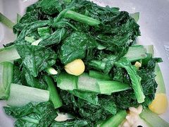 橄榄油炒小白菜-山东宾馆·齐鲁苑餐厅
