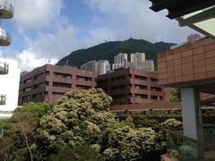 -香港大学