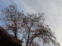 -张学良旧居陈列馆