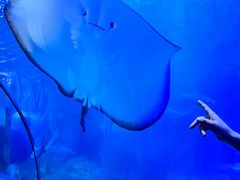 -太平洋海底世界