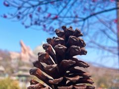 -茅山东方盐湖城景区