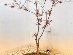 -海岛日记(养马岛店)