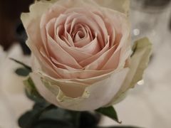 -火车头法国西餐厅