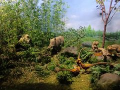 -陕西自然博物馆