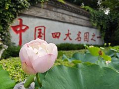 -个园