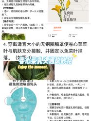 -复旦大学附属妇产科医院(黄浦院区)