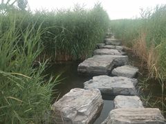 -绿堤公园