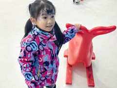 -世界之窗阿尔卑斯冰雪世界