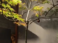 -王府茶楼茶宴·创意菜(朝阳公园店)