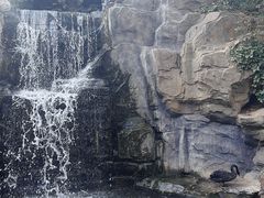 -燕塞湖鸟语林景区