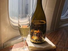 -米兰马尔彭萨国际机场