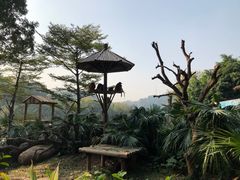 -广州长隆野生动物世界