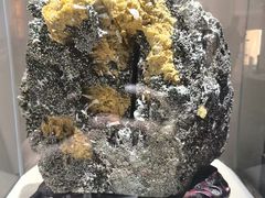 -黄金博物馆