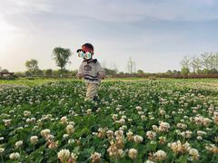 -汉长安城未央宫国家考古遗址公园