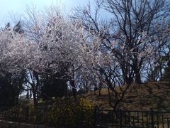 -玲珑塔公园