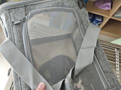 -玖佳宠物医院·泌尿·骨科·中老年病