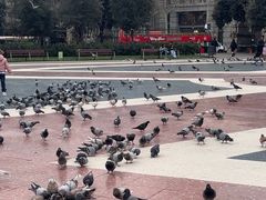 -加泰罗尼亚广场