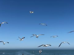 -海驴岛(荣成市)