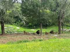 -北京野生动物园