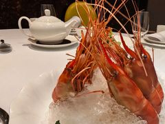 老酒糟大虾-南麓·浙里(外滩店)