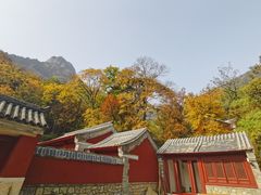 -北京上方山国家森林公园
